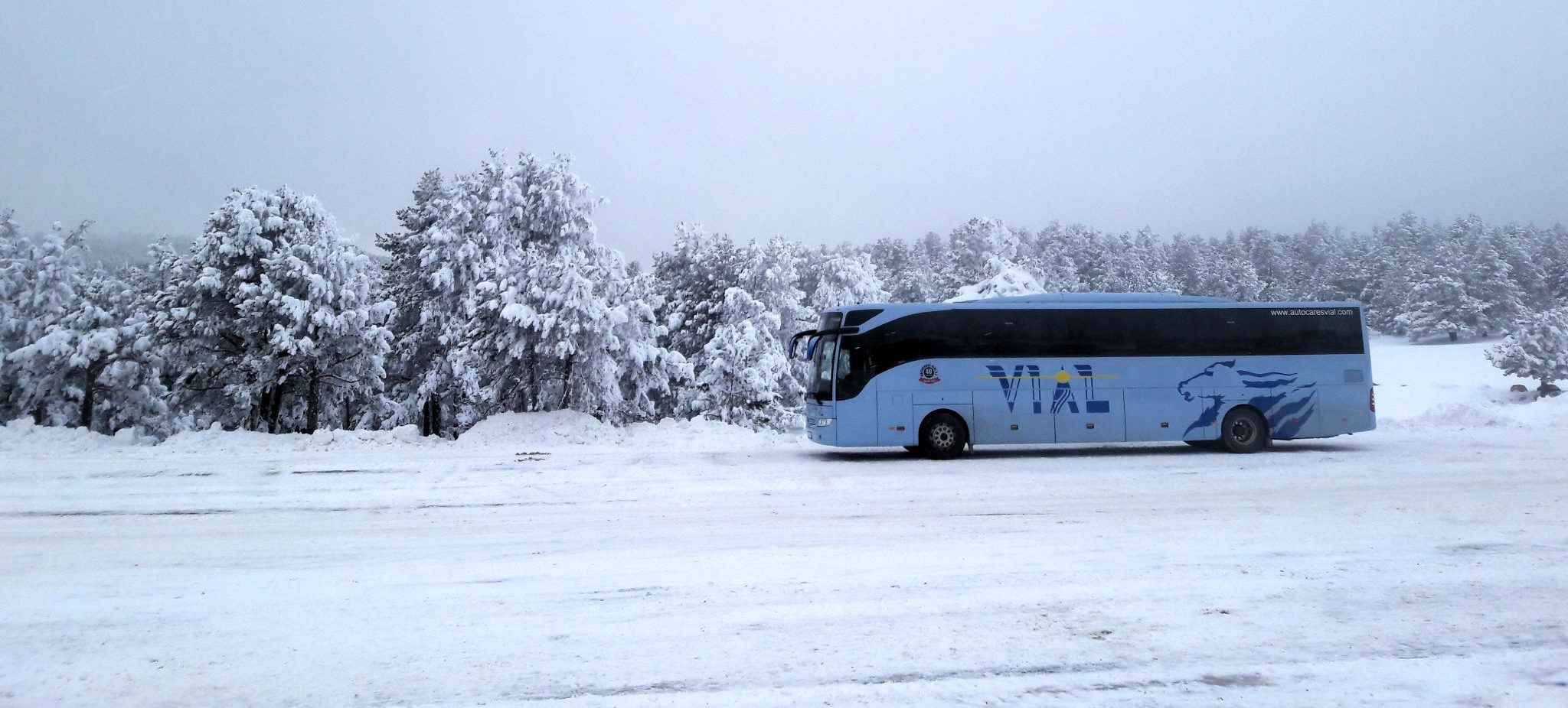 Autocares Vial servicio autobuses Valencia